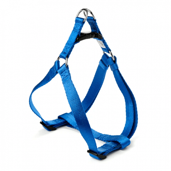 Classic Blue Webbed Nylon Dog Harness